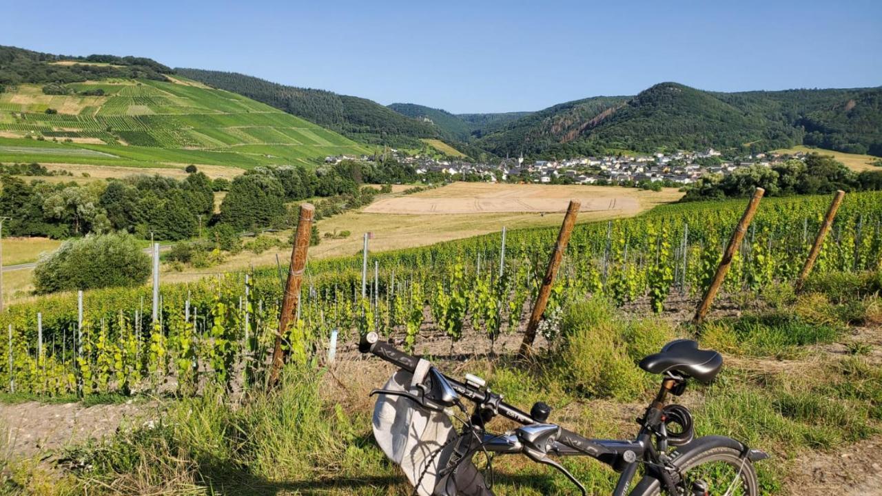 Im Moseltal