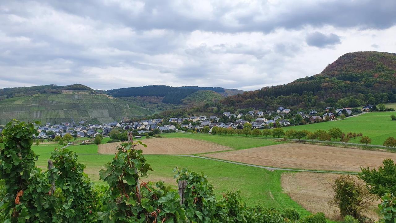 Apartment Im Moseltal *