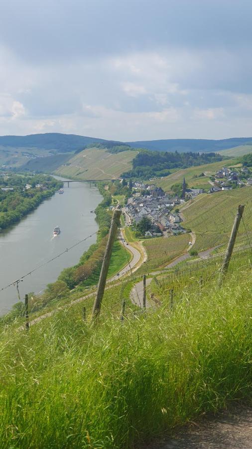 Apartment Im Moseltal Veldenz