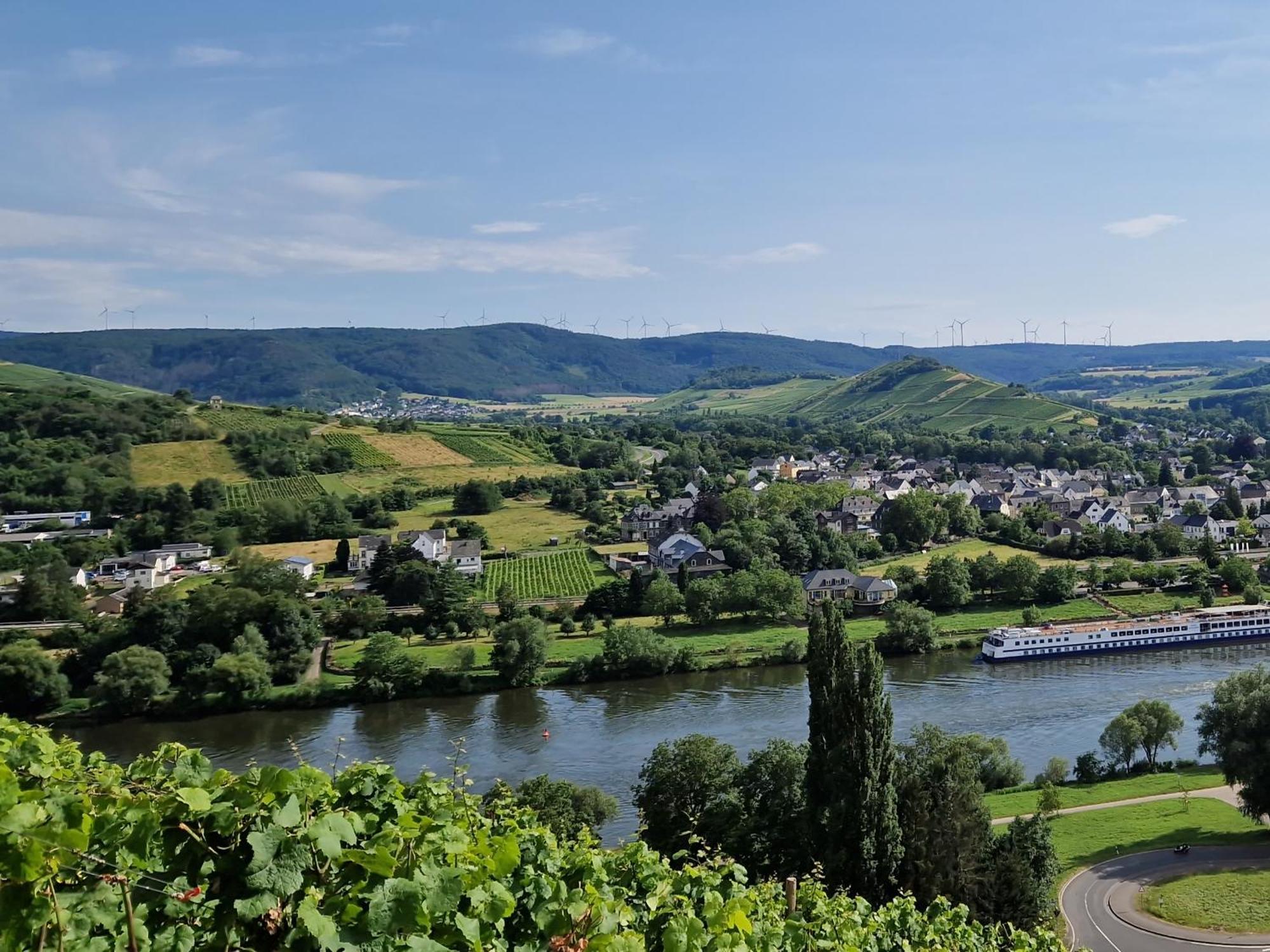 Im Moseltal