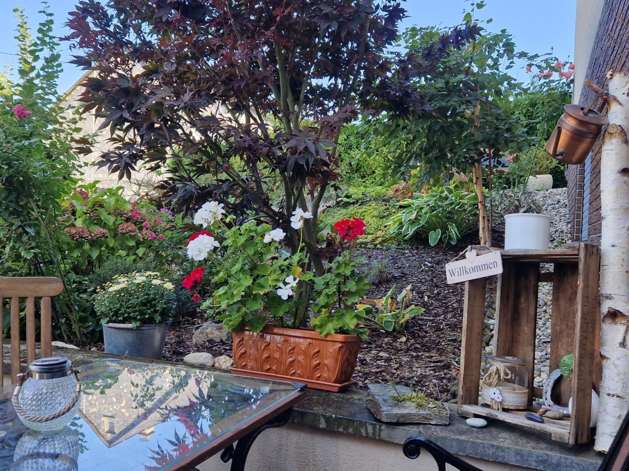 Apartment Im Moseltal *
